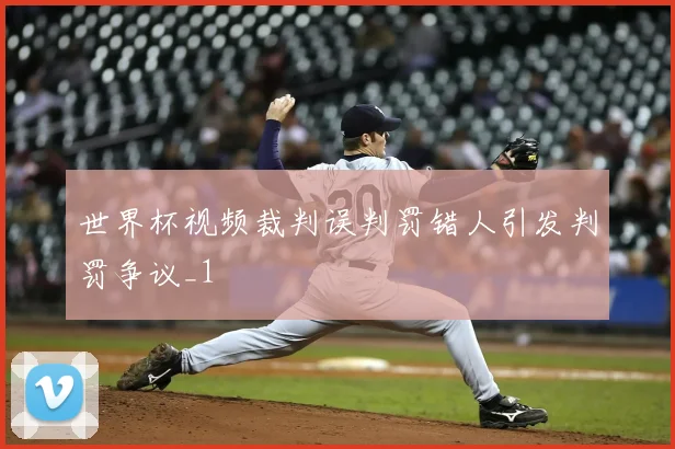 世界杯视频裁判误判罚错人引发判罚争议_1