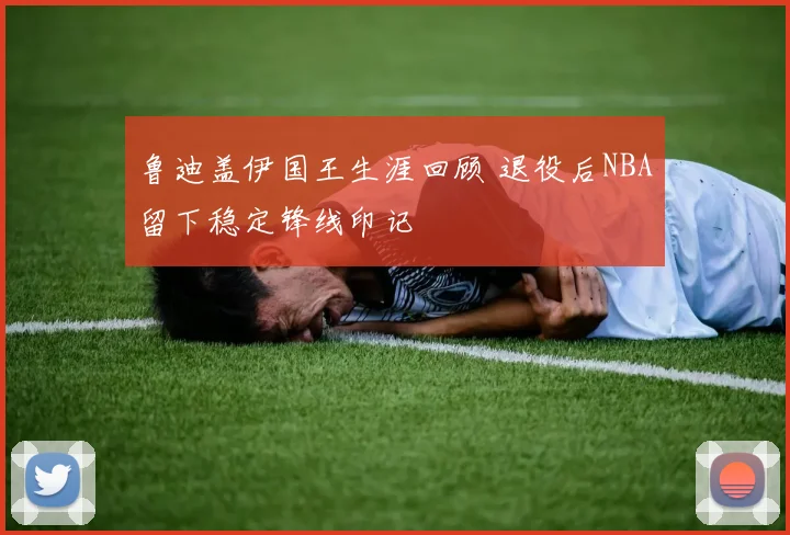 鲁迪盖伊国王生涯回顾 退役后NBA留下稳定锋线印记