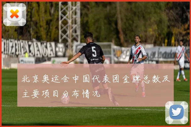 北京奥运会中国代表团金牌总数及主要项目分布情况