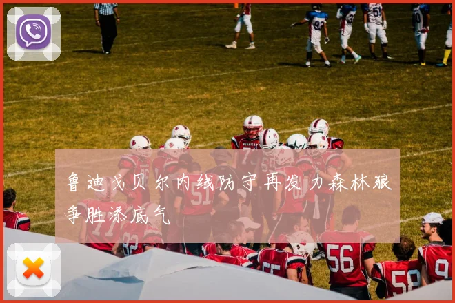 鲁迪戈贝尔内线防守再发力森林狼争胜添底气