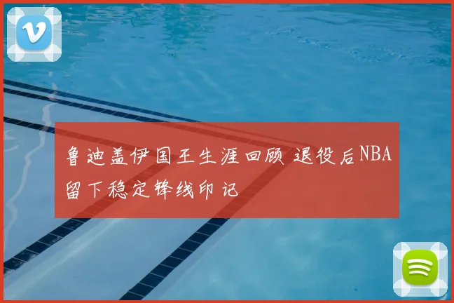 鲁迪盖伊国王生涯回顾 退役后NBA留下稳定锋线印记