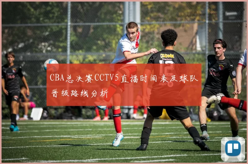 CBA总决赛CCTV5直播时间表及球队晋级路线分析