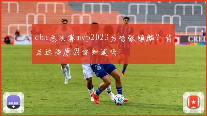 cba总决赛mvp2023为啥张镇麟？背后这些原因你知道吗