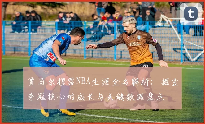 贾马尔穆雷NBA生涯全名解析：掘金夺冠核心的成长与关键数据盘点