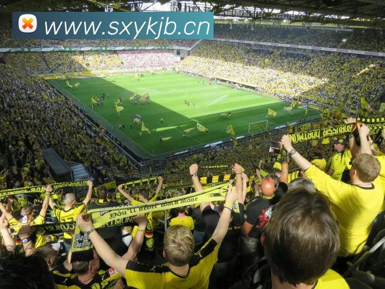 开云网页版登录入口 - 开云中国服务体系